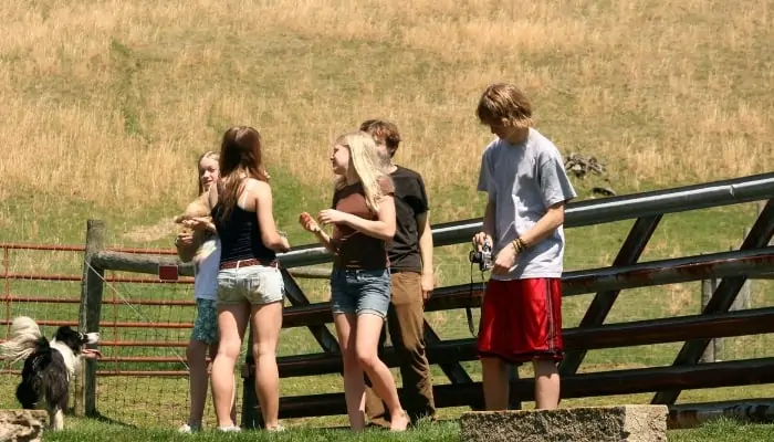 a group of kids hanging out without parents