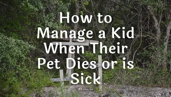 How to Manage a Kid When Their Pet Dies or is Sick