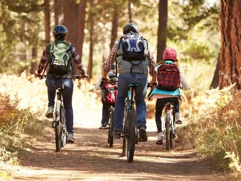 Article image - family mountain biking