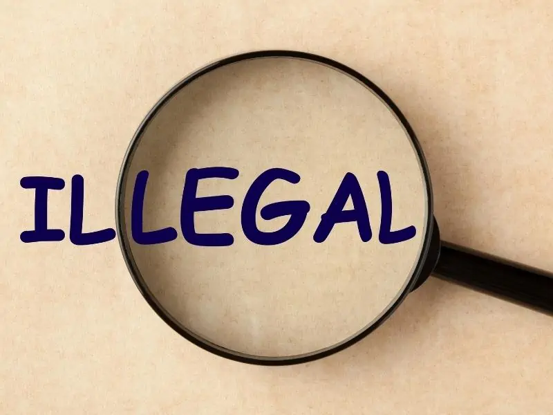 Article Image -  Illegal Activities