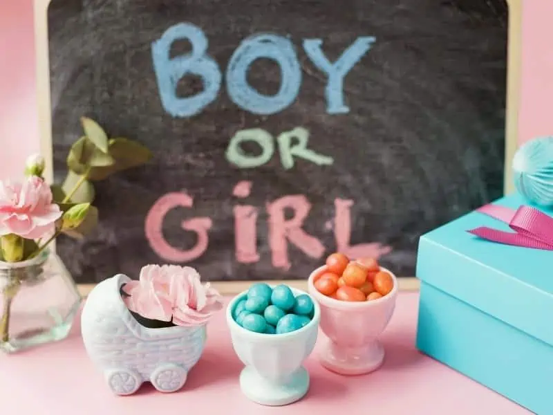 gender reveal decorations