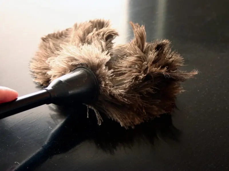 feather duster