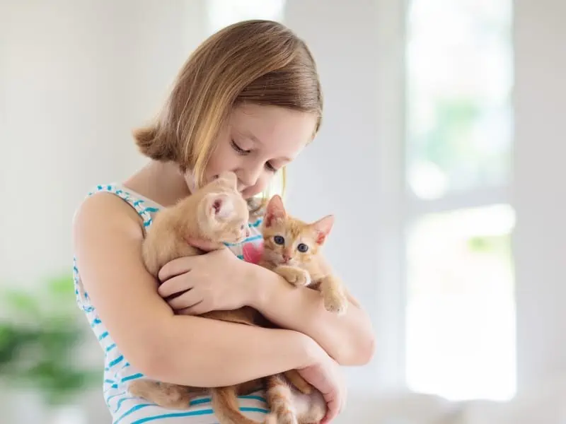 kid holding cat