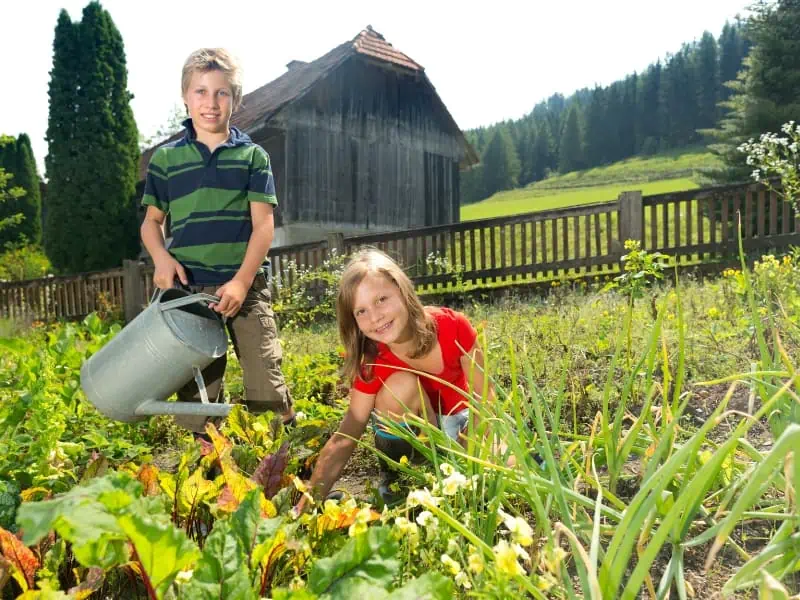 girl and boy gardening