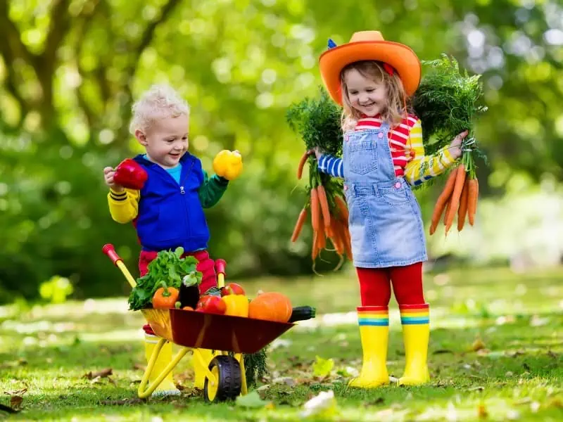 kids at the farm