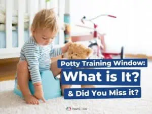 Potty Training Window: What is it? & Did You Miss it?